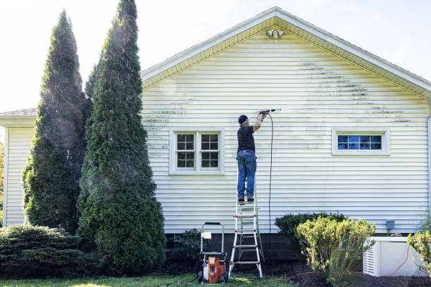 Best Driveway Pressure Washing  in Mccoll, SC